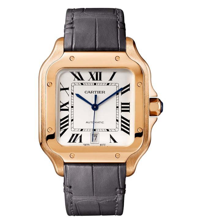Buy Cartier WSSA0037 Santos de Automatic Watch for Men With Extra Strap  Online @ Tata CLiQ Luxury