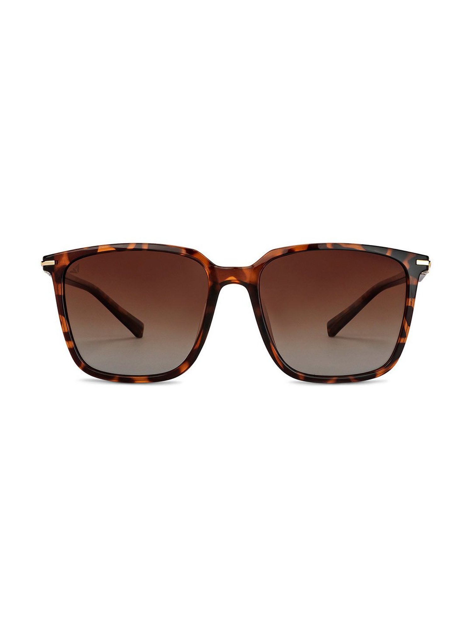 Buy Calvin Klein CK2251843857S Brown UV Protected Square Unisex Sunglasses  Online @ Tata CLiQ Luxury