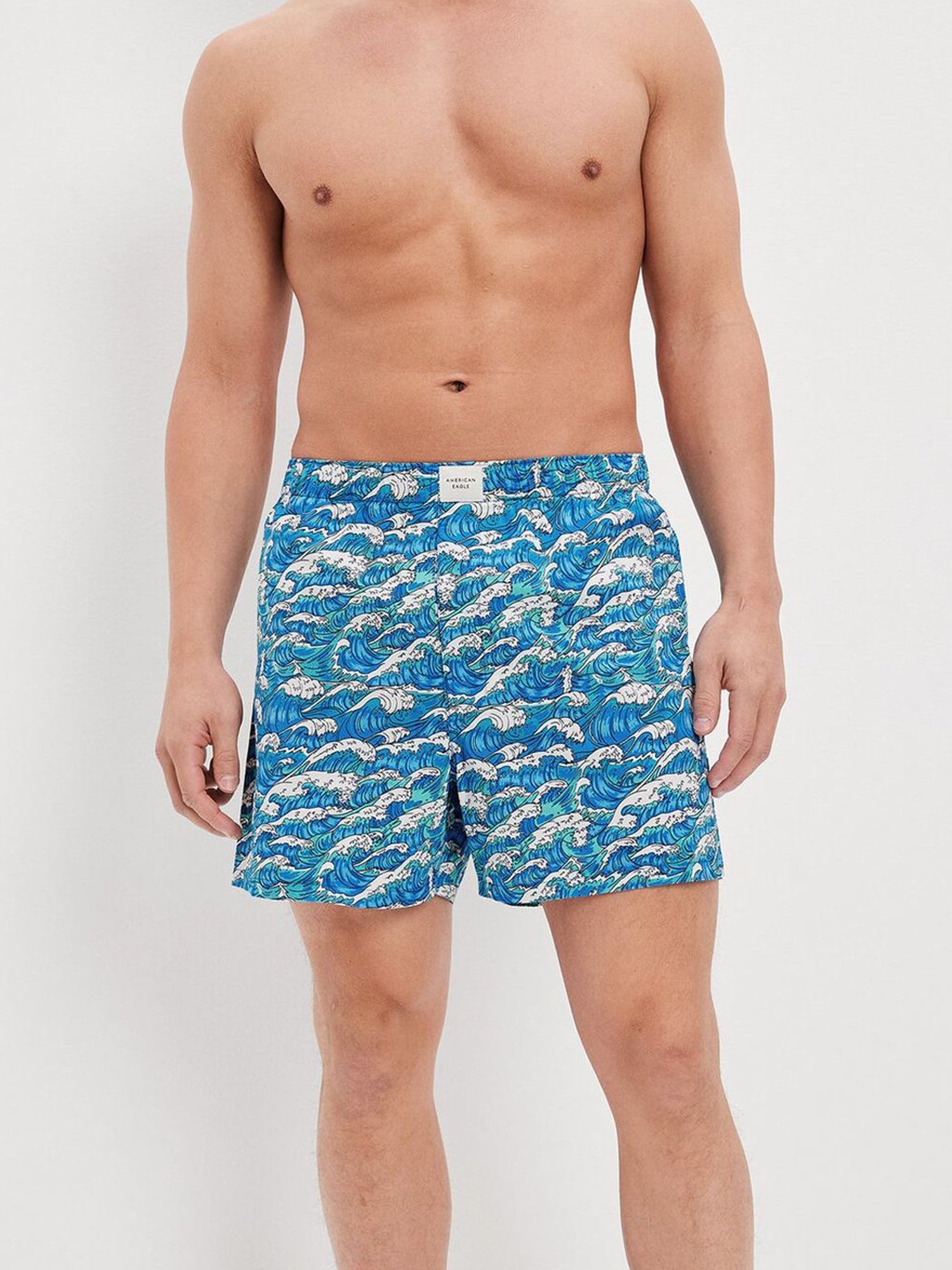 Buy American Eagle Outfitters Blue Cotton Regular Fit Printed Boxers for  Mens Online @ Tata CLiQ