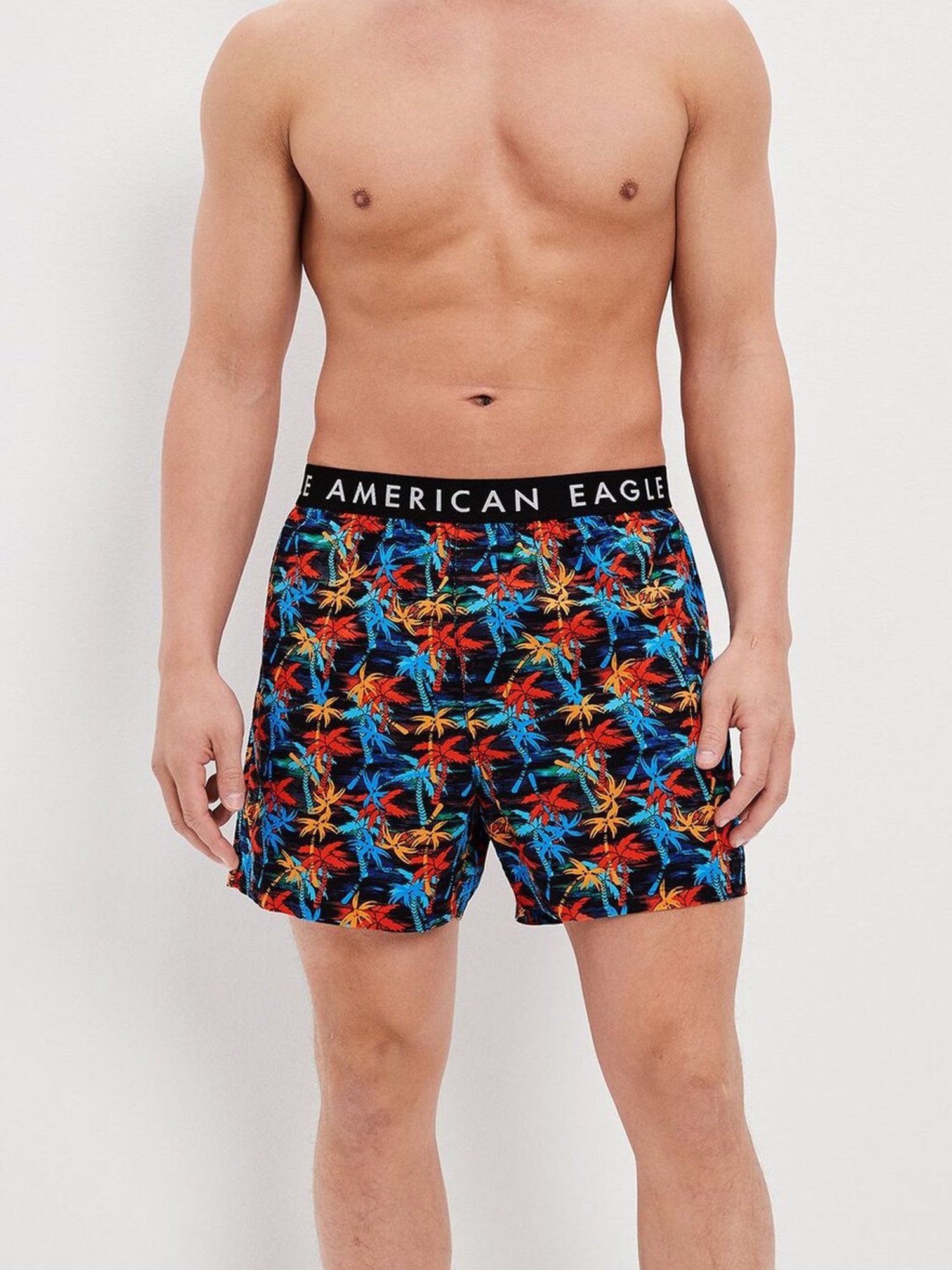 American Eagle Outfitters Multi Cotton Regular Fit Printed Boxers