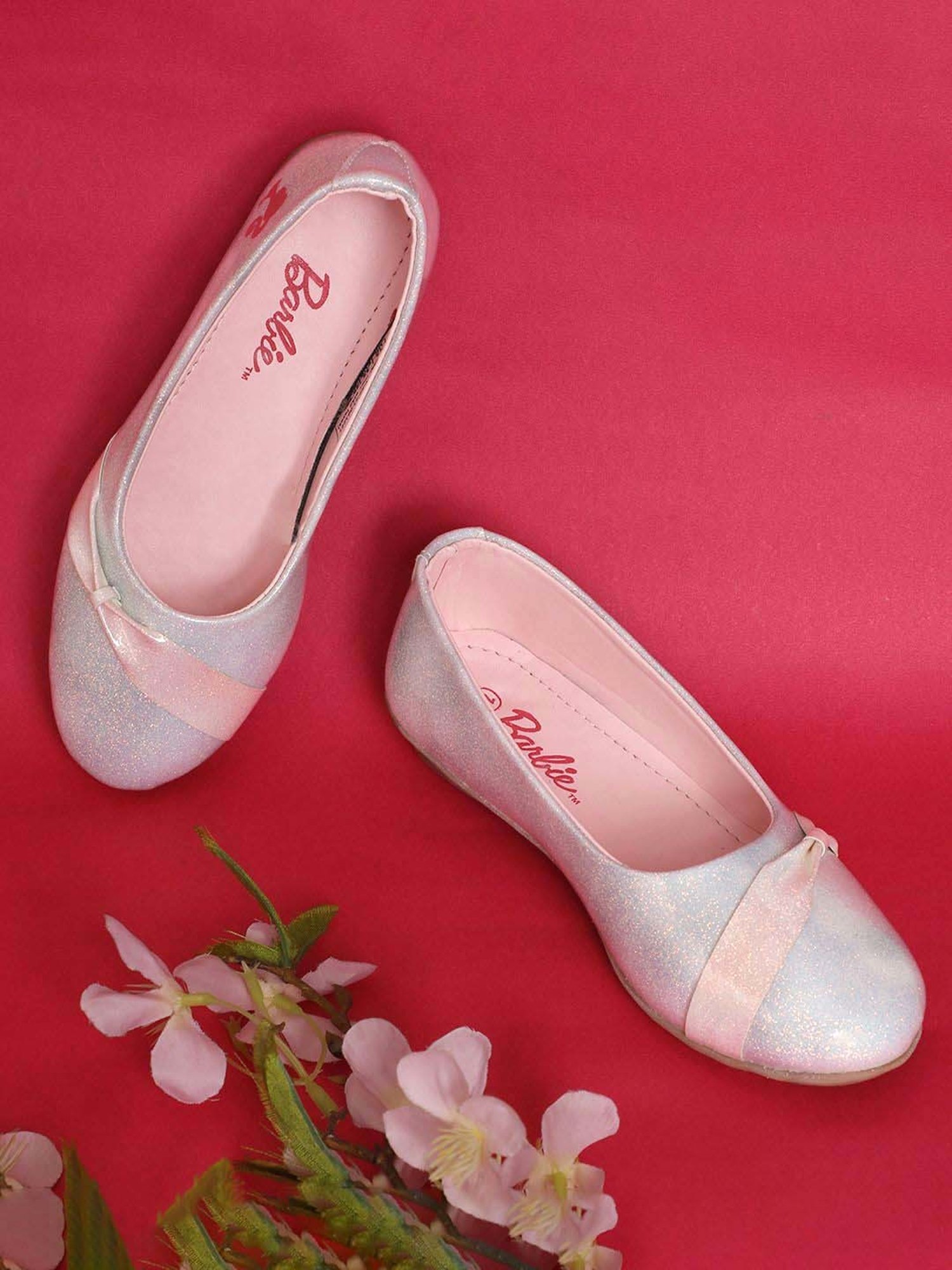 Barbie best sale ballet shoes