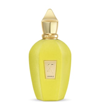 Buy Xerjoff V Amabile Eau De Parfum 100 ml Online Tata CLiQ Luxury