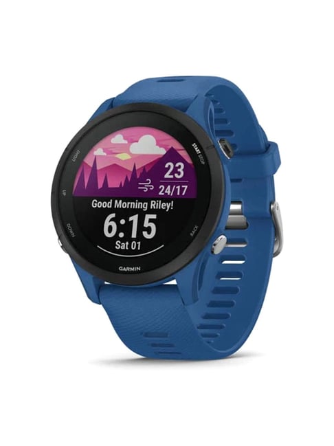 Garmin Forerunner 255 Smartwatch (GPS, Tidal Blue)