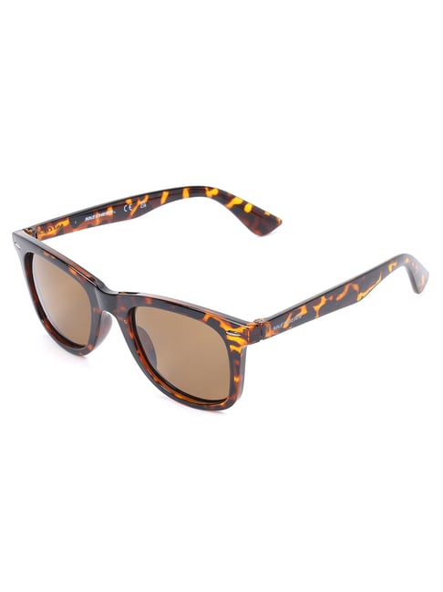 Men's Sunglasses - The Villa - Whiskey Tortoise/Gold | Vincero Collective