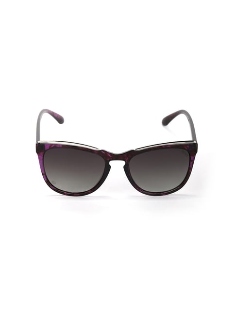 Smith Cheetah Sunglasses | FramesDirect.com