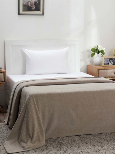 Maspar Colorart Blaize Silver Grey Cotton 200 TC 256 GSM Single Bed Cover