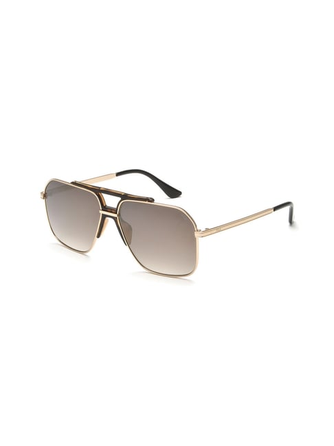 Black-Gold Browline Metal Round Tinted Sunglasses with Brown Sunwear Lenses  - Berkley | Tinted sunglasses, Sunglasses, Lenses