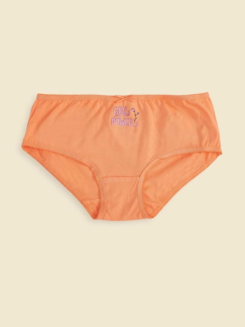 Pantaloons Junior Kids Multicolor Cotton Printed Panties