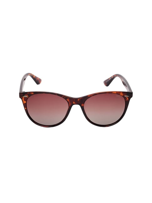 Women Brown Sunglasses - Buy Women Brown Sunglasses online in India