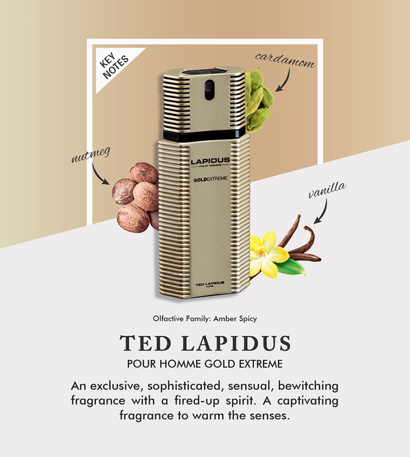 Ted lapidus pour online homme