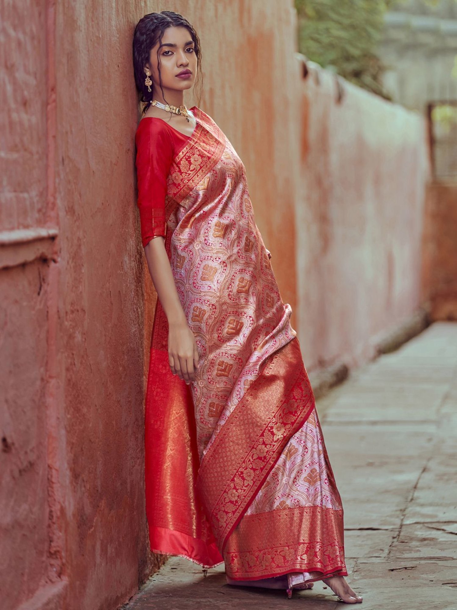 Heavy Silver(Grey) saree with black velvet with silver sequence blouse