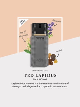 香水(男性用) TED LAPIDUS Eau de Toilette 200ml Amazon.com : Lapidus By Ted Lapidus For Men. Eau De Toilette