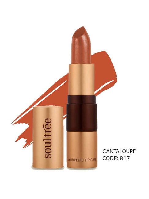 SoulTree Ayurvedic Lipstick - Cantaloupe 817 - 4 gm | Organic Lipstick