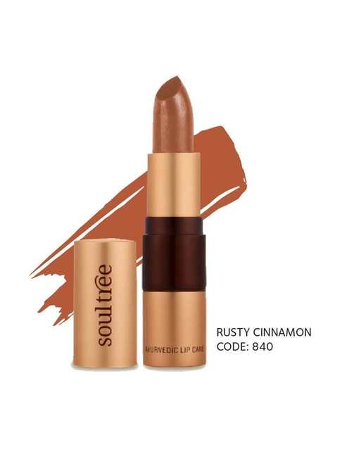 SoulTree Ayurvedic Lipstick - Rusty Cinnamon 840 - 4 gm | Organic Lipstick