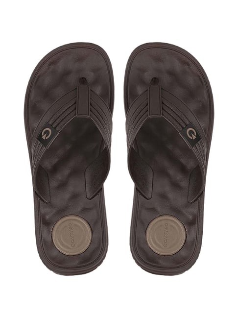 Buy Cartago Men s Brown Flip Flops for Men at Best Price Tata CLiQ