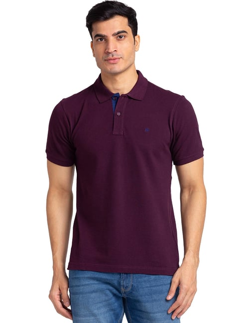Raymond Wine Regular Fit Polo T-Shirt-picture-38