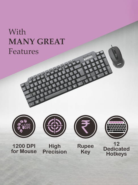 Buy Zebion Viking Wired Keyboard + Wired Optical Mouse (Black