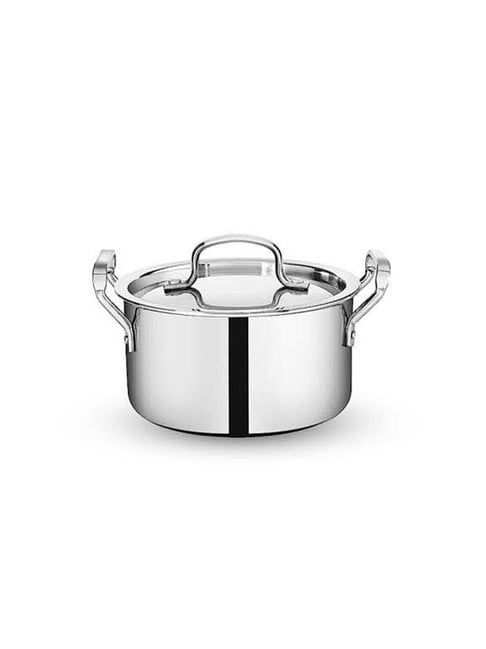 Bergner Tripro Silver Stainless Steel 22 cm Induction Friendly Triply Pot With Lid (2.8 L)-picture-25