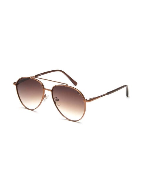 IRUS Men's Polarized and UV Protected Brown Alloy Metal Pilot sunglass