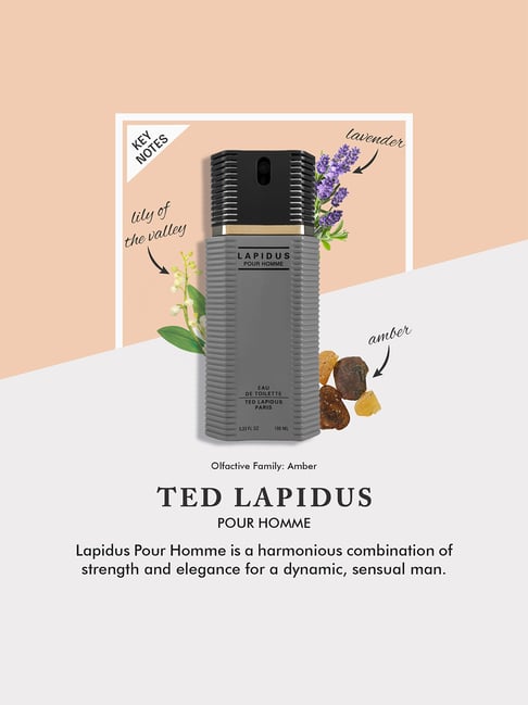 Buy Ted Lapidus Pour Homme Eau de Toilette - 200 ml at Best Price