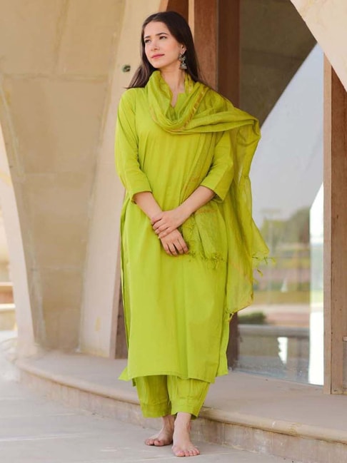 Chikankari Green Straight Cotton Dress, Women's Ethnic Wear, Traditional  Party Wear Floral Embroidery Dress, Kashmiri Long Kurta for Women - Etsy  Denmark