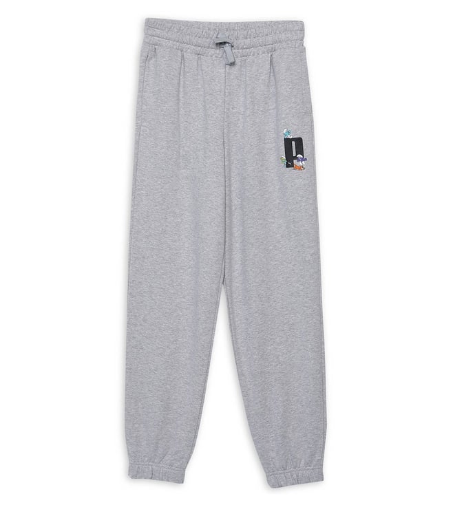 Nike x STUSSY FLEECE PANT Grey