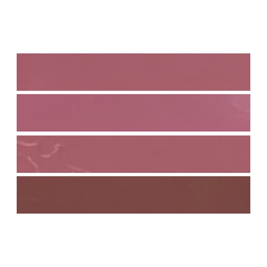 Shades of Maroon Color Palette