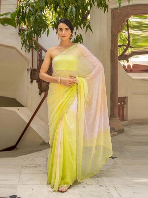 Green Hand Embroidered Resham-Tube Chiffon Saree – Geroo Jaipur