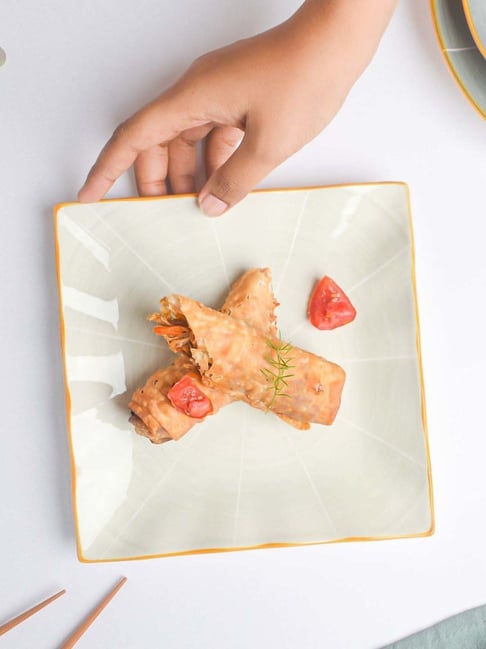 Appetizer Plates Best Square Dinner Plates Appetizer Plates White