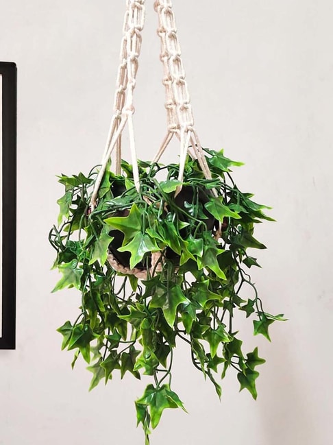 Buy Homesake Artificial Fake Hanging Vine Plant Leaves For Decoration at  Best Price @ Tata CLiQ