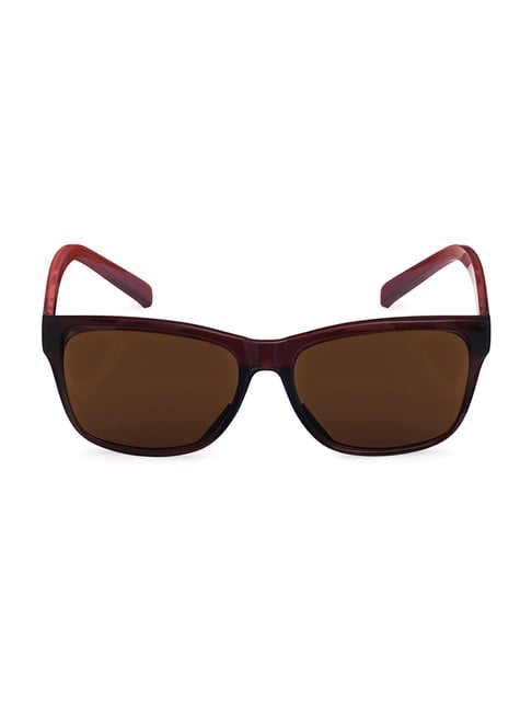 Buy Men Brown Sunglasses Online - 263118 | Peter England