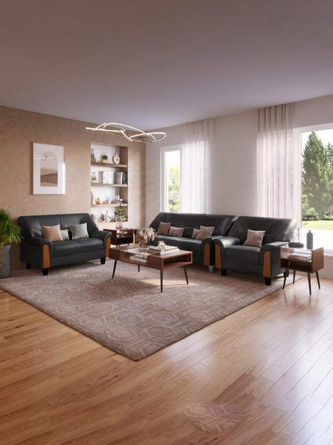 Godrej Interio Parto Plus Black Pinewood 2 Seater Sofa-picture-25