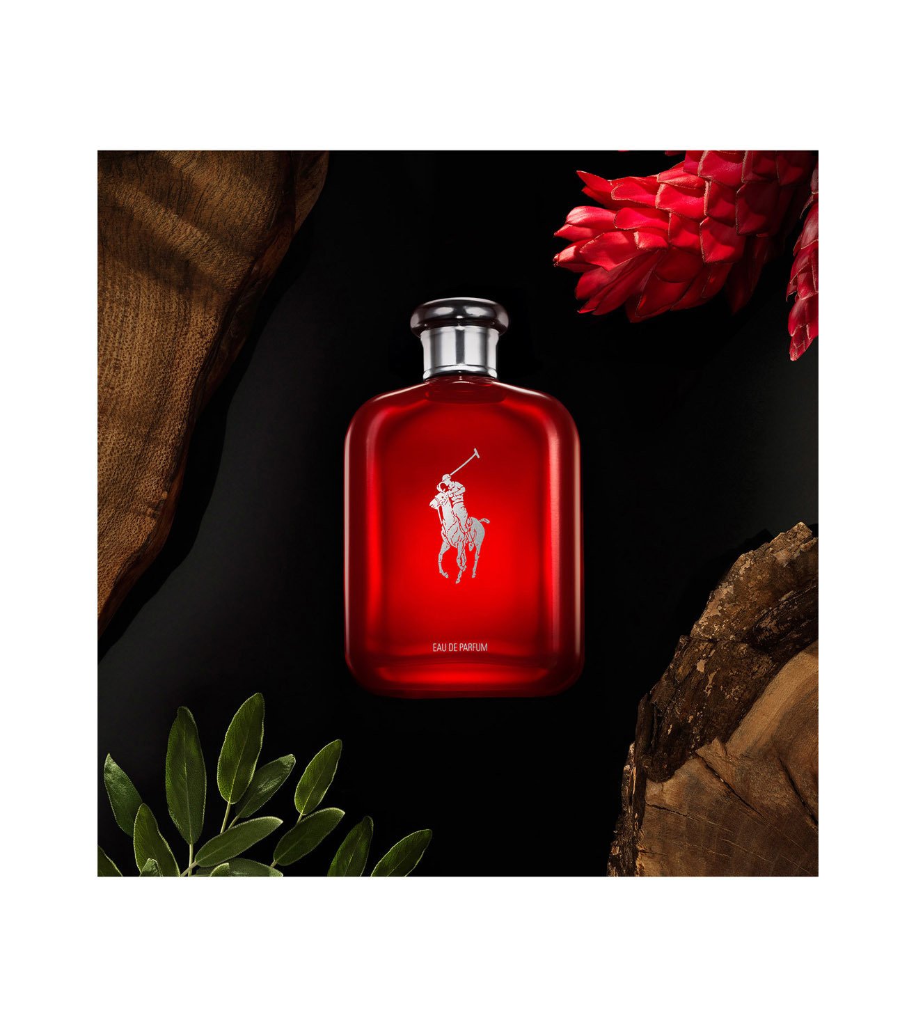 Ralph Lauren Polo Red Eau de Parfum for Men – Perfume Network India