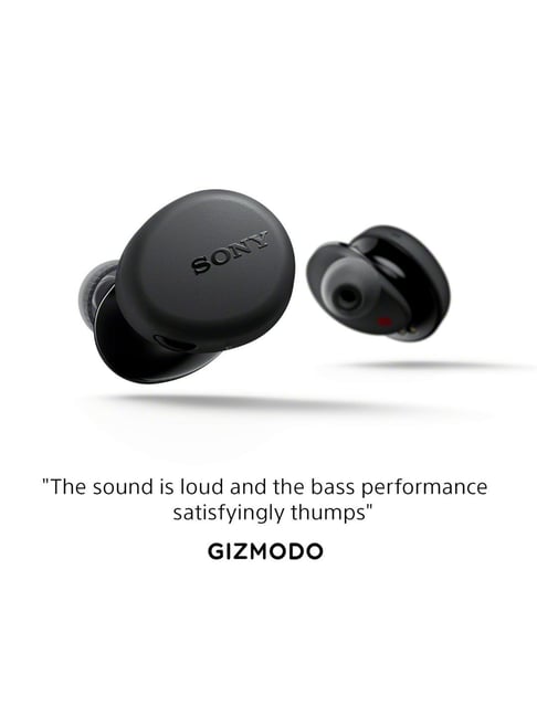 Buy Sony True Wireless EarPods with Mic (WF-XB700, Black) Online