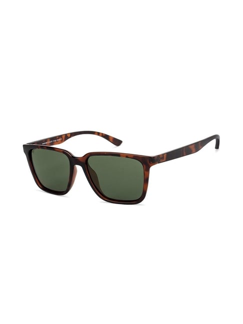 Steadfast Blonde Polarized Uni-Sex D-Frame Sunglasses | Le Specs