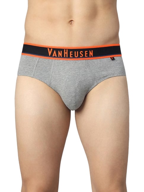 Buy Van Heusen Grey Regular Fit Briefs for Mens Online @ Tata CLiQ