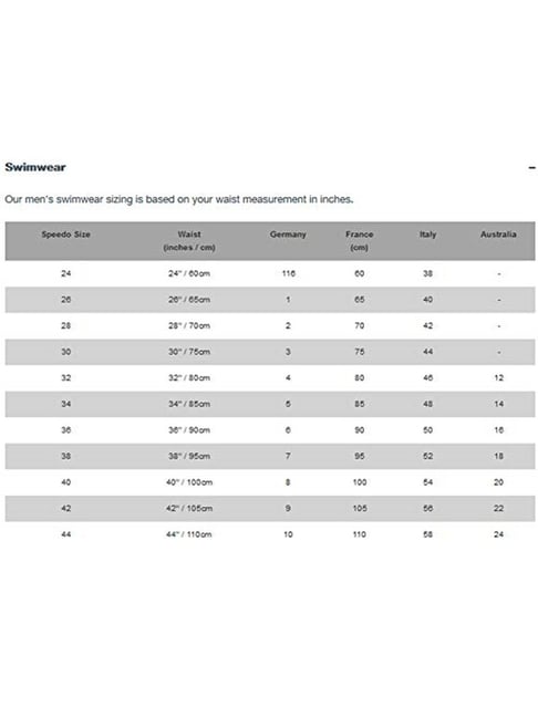 Speedo Blue Regular Fit Swim Shorts