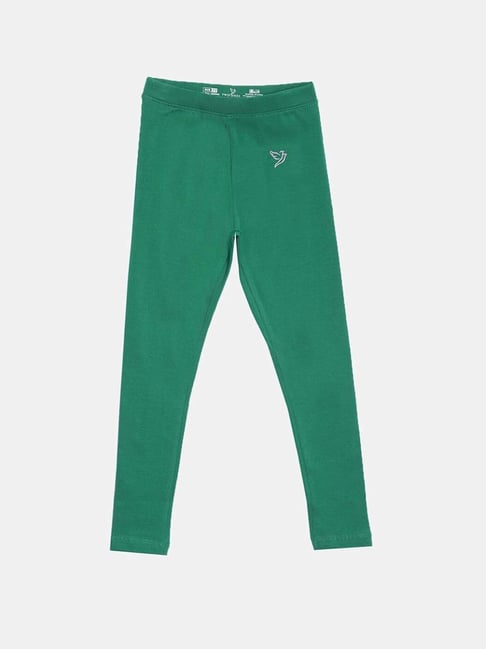 Neeru's Womens P Lycra Fabric Leggings for Women (Green) in Pune at best  price by Welcome Men's Kids & Ladies Wear - Justdial