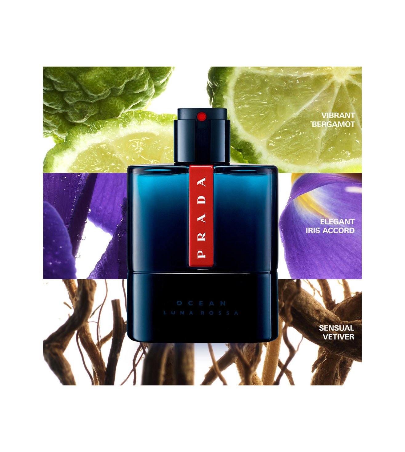 Prada luna discount rossa 50 ml