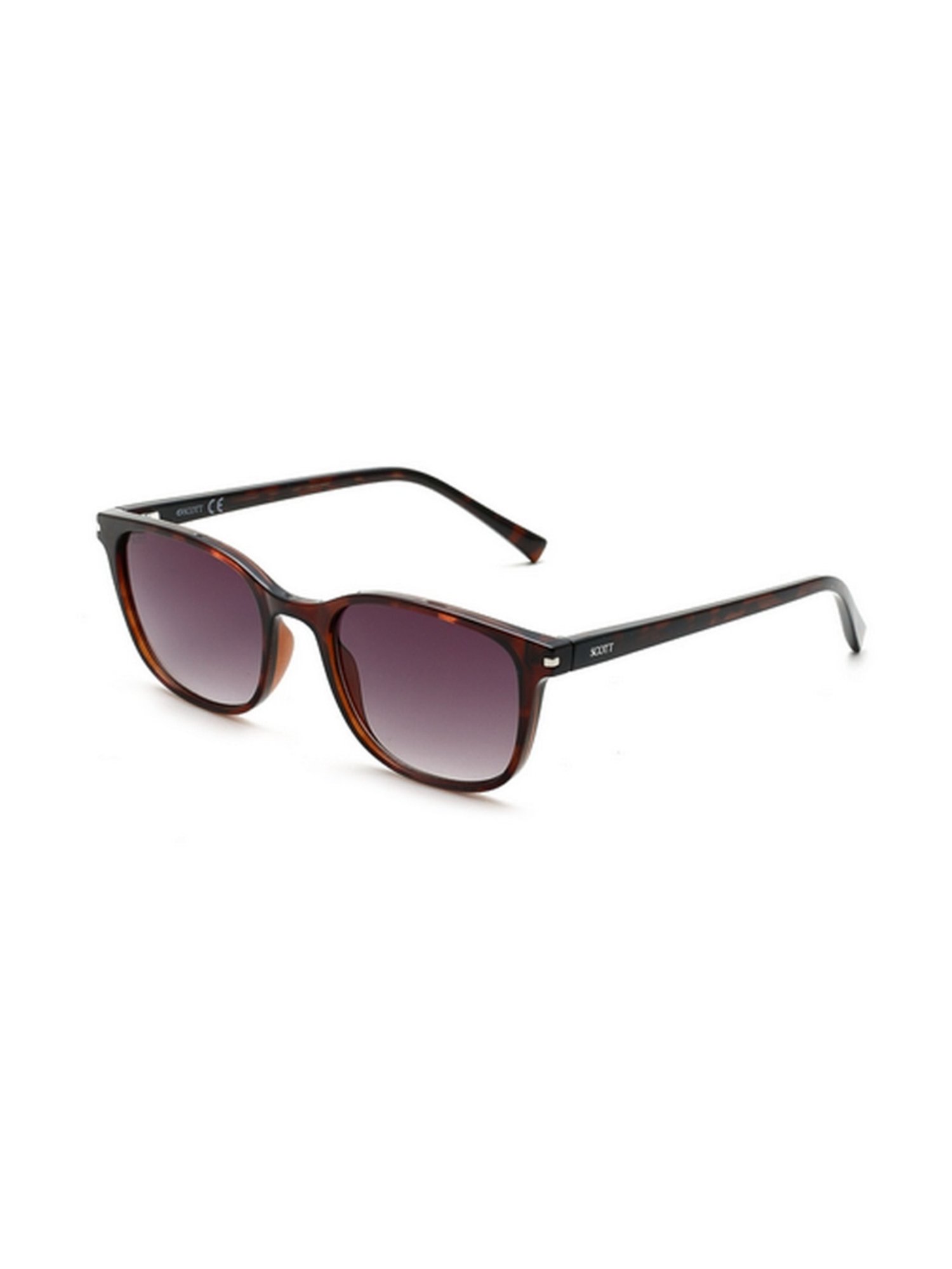 Buy Purple Sunglasses for Men by SCOTT Online | Ajio.com