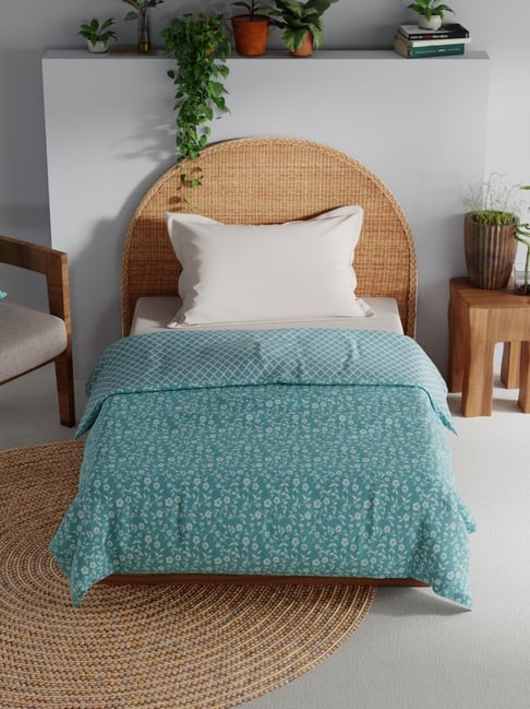 NAUTICA 100% Premium Cotton King Bedsheet With 2 Pillow Covers -3pc set  (pacific coast) stripe-dk.purple/multi – Bianca Home