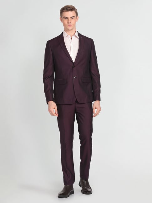 Arrow Maroon Regular Fit Two Piece Suit-picture-40