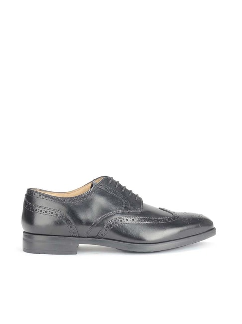 Men's Oxford & Brogue Shoes – OHM New York-calidas.vn