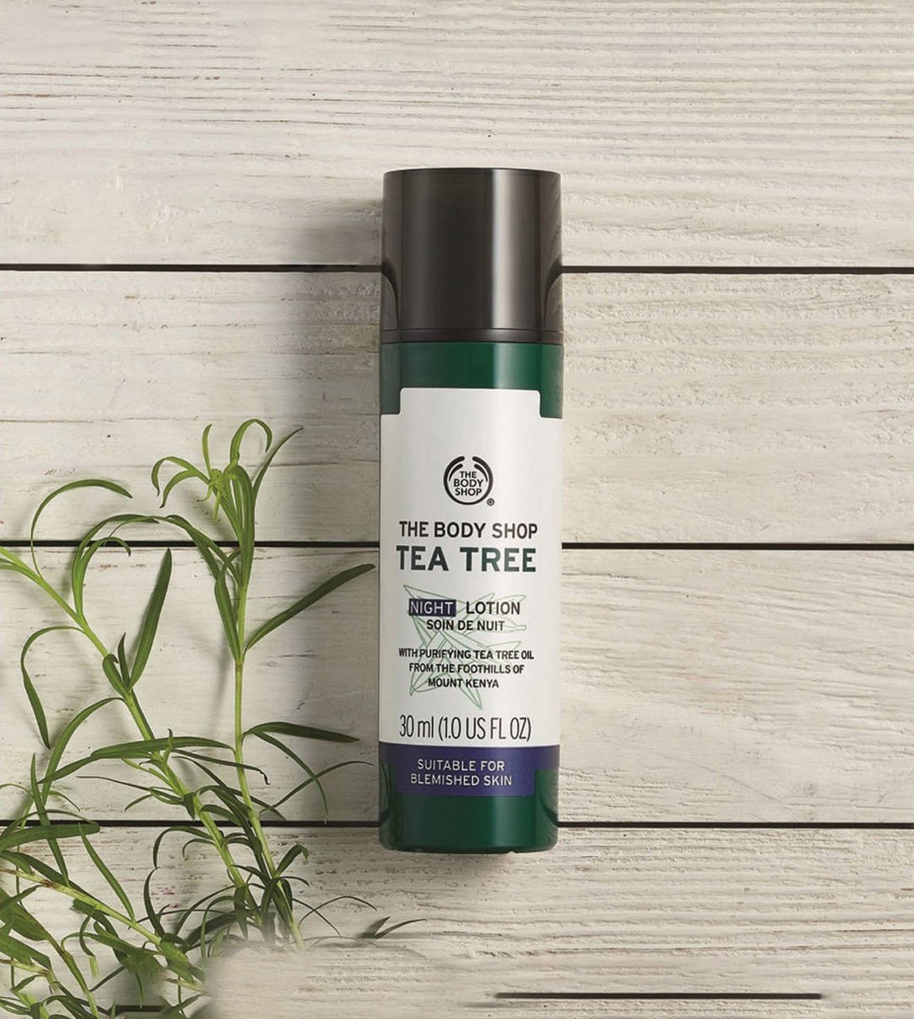 Buy The Body Shop Tea Tree Night Lotion 30 ml Online On Tata CLiQ Palette