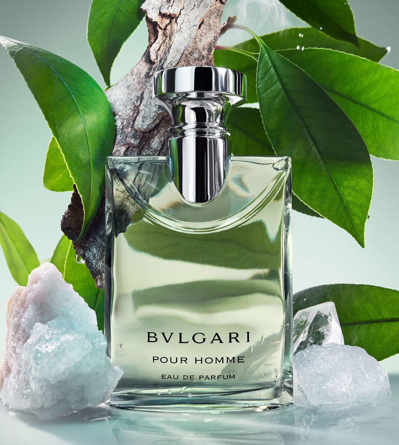 Buy Bvlgari Pour Homme Eau de Parfum for Men 50 ml Online On Tata CLiQ Palette