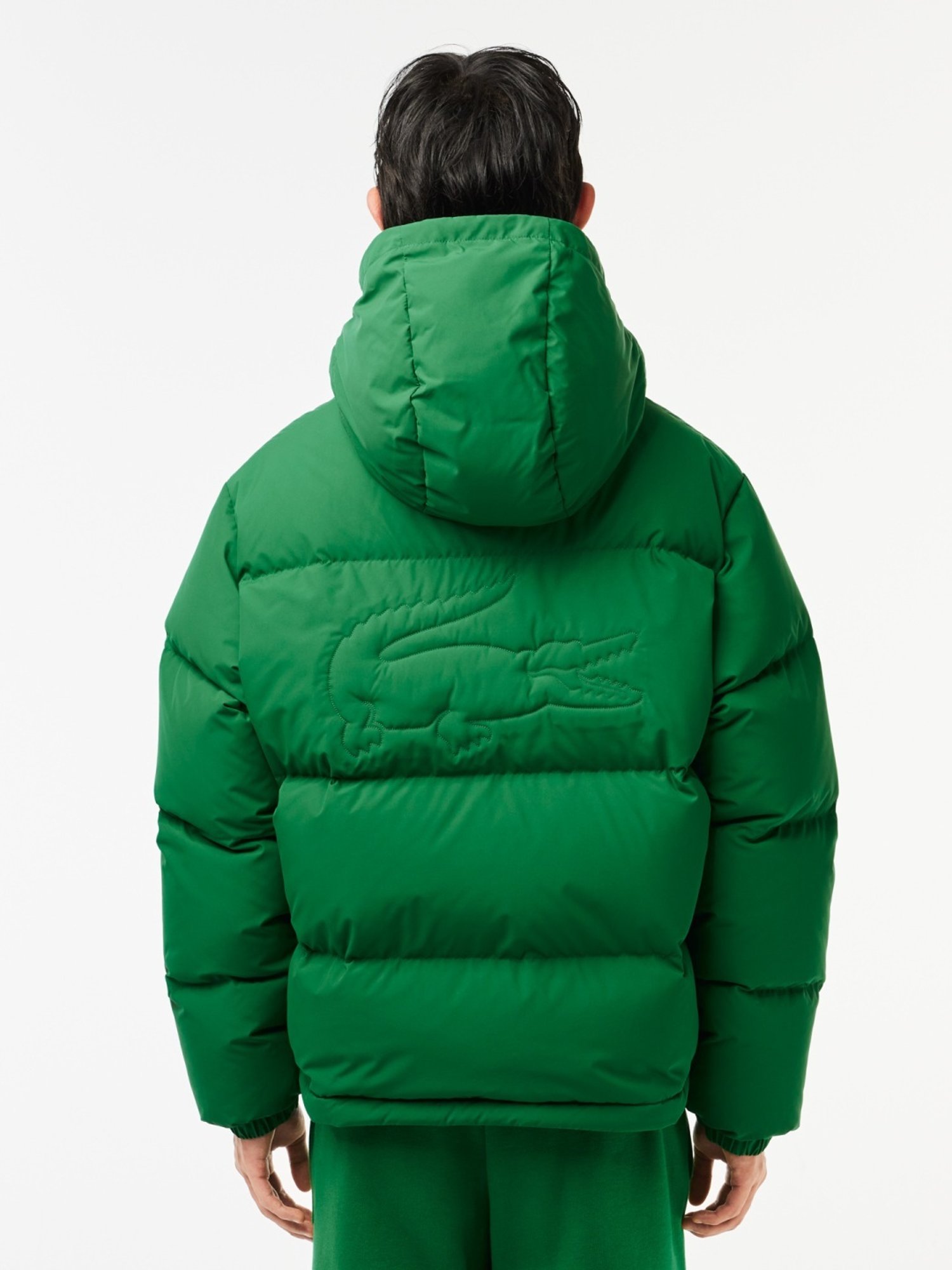 MP000000021350967_1348Wx2000H_