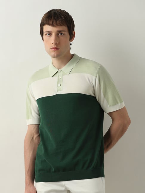 SELECTED HOMME Green Regular Fit Cotton Polo T-Shirt-picture-42