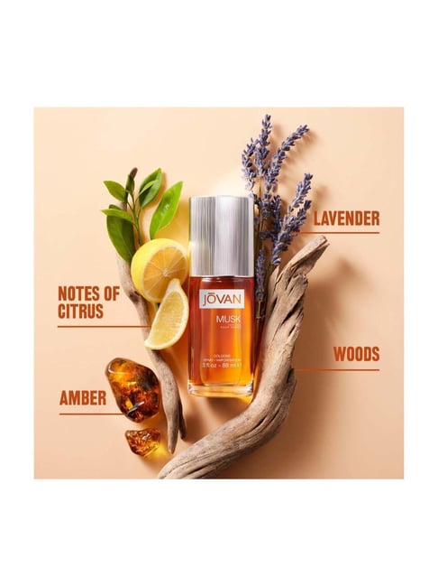 Jovan Musk Oil For Men Jovan Musk Cologne Spray For Him