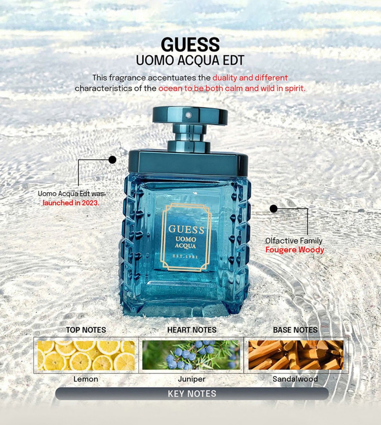 Buy GUESS Uomo Acqua Eau de Toilette for Men 100 ml Online On Tata CLiQ Palette