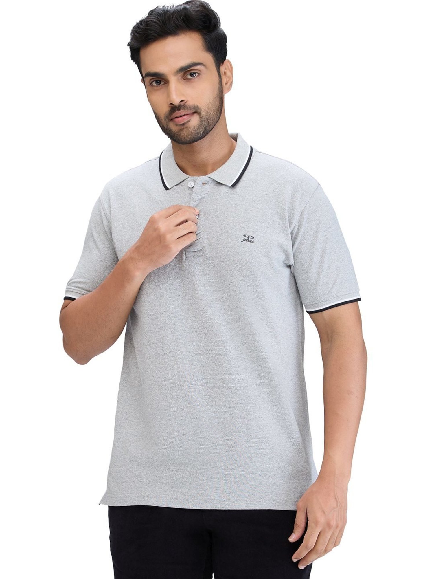 Buy Colorplus Grey Regular Fit Polo T Shirt for Mens Online Tata CLiQ